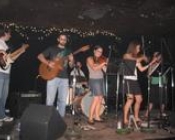 Picture of Alexanders Dark Band