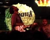 Picture of Frightened Rabbit