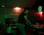 Picture of Yellow Fever